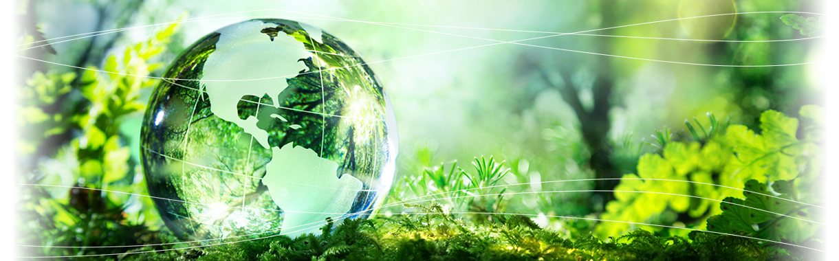 タイセイ株式会社