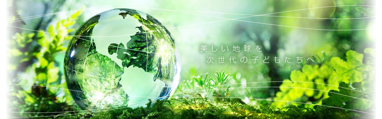 タイセイ株式会社