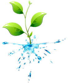 使い続けることでecoになる水 お水だけですっきり、エコ排水