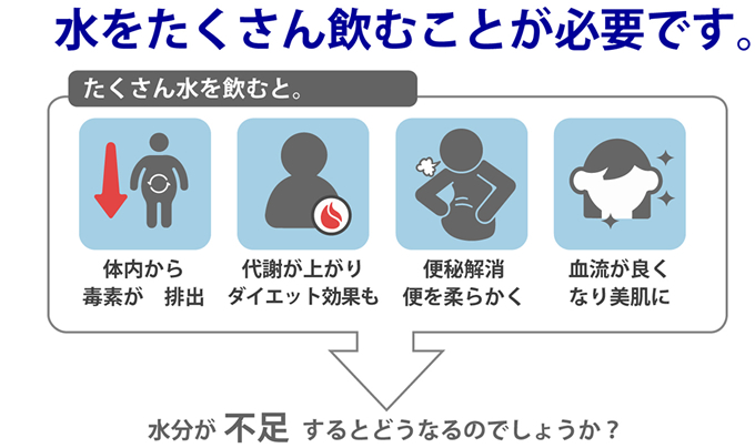 タイセイ株式会社 3l水飲み健康法