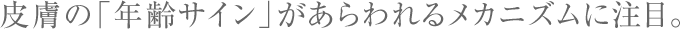 皮膚の「年齢サイン」があらわれるメカニズムに注目。