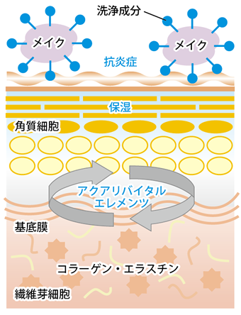 うるおいを与えてメイクを落とす、肌に優しいクレンジング