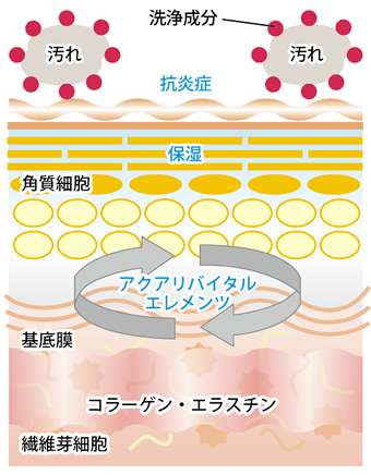 うるおいを与え不要な汚れを洗う