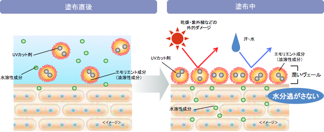 日やけ止め塗布直後と塗布中