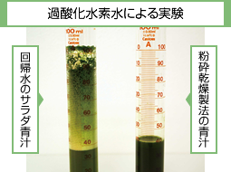 過酸化水素水による実験