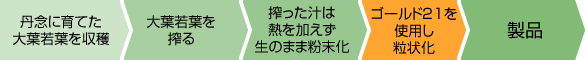 回帰水のサラダ青汁