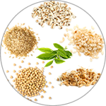大豆・小麦胚芽・鳩麦・緑茶葉・ 胡麻・玄米胚芽